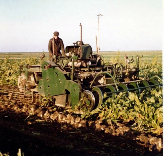 foto